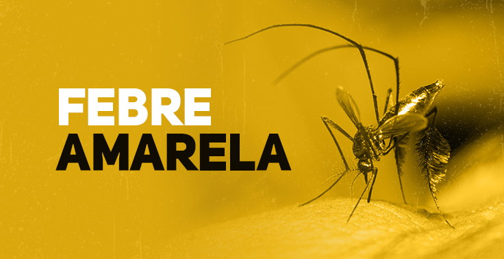Imagem informativa de saúde com fundo amarelo-ouro. Do lado esquerdo, sobressaem as palavras FEBRE em letras brancas e AMARELA em letras pretas. Do lado direito, um mosquito é exibido em formato macro, posado sobre a pele humana.